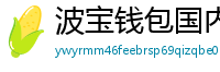 波宝钱包国内下载